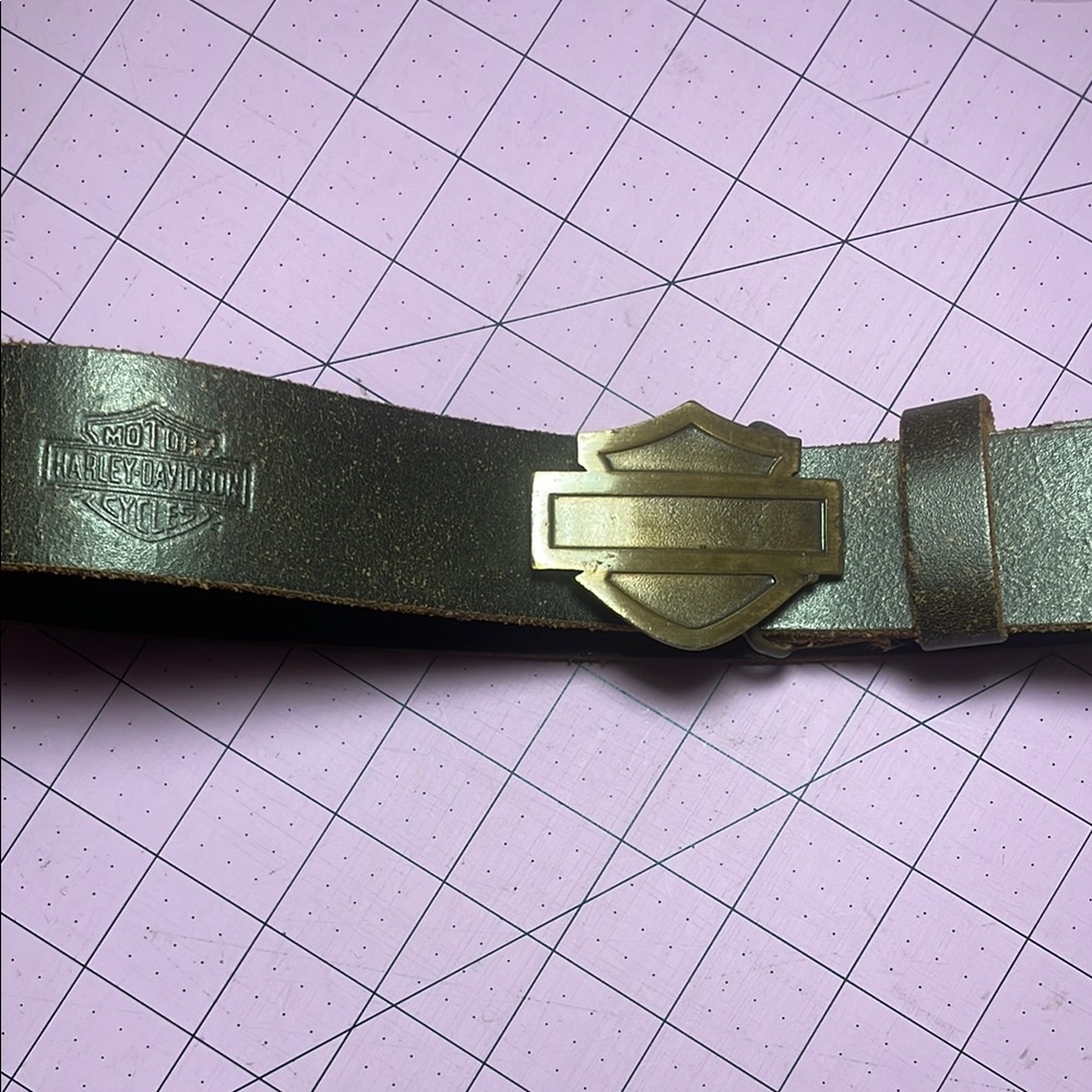 Harley-Davidson Gold and Brown Belt with Shield Buckle
